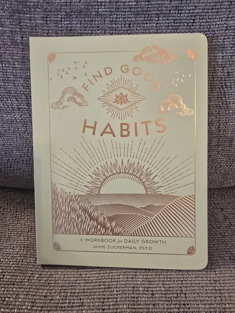 Finding Good Habits Workbook - New